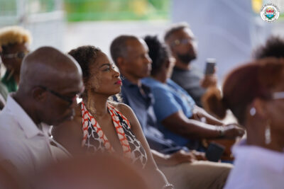 Agrandir l'image 10 sur 33, fenêtre modale