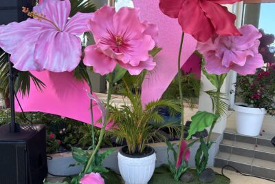 Agrandir l'image 14 sur 14, fenêtre modale