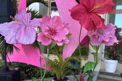 Agrandir l'image 9 sur 14, fenêtre modale