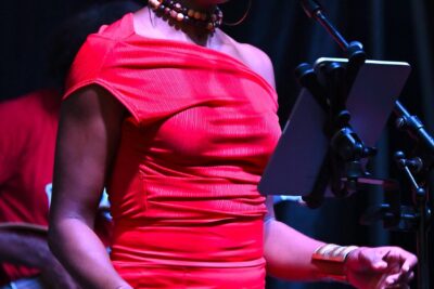 Agrandir l'image 5 sur 30, fenêtre modale