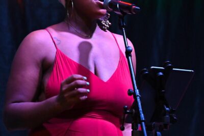 Agrandir l'image 7 sur 30, fenêtre modale