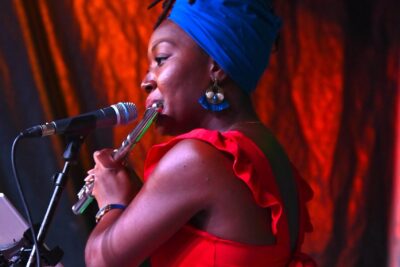 Agrandir l'image 9 sur 30, fenêtre modale