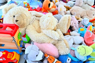 Agrandir l'image 8 sur 14, fenêtre modale