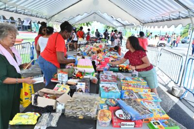 Agrandir l'image 10 sur 14, fenêtre modale