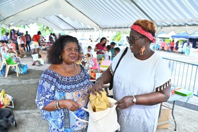 Agrandir l'image 12 sur 14, fenêtre modale