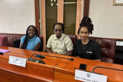 Agrandir l'image 2 sur 13, fenêtre modale