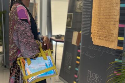 Agrandir l'image 3 sur 20, fenêtre modale