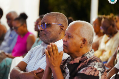 Agrandir l'image 12 sur 48, fenêtre modale