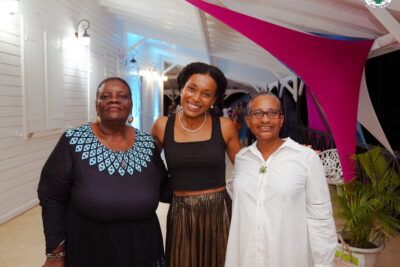 Agrandir l'image 28 sur 48, fenêtre modale